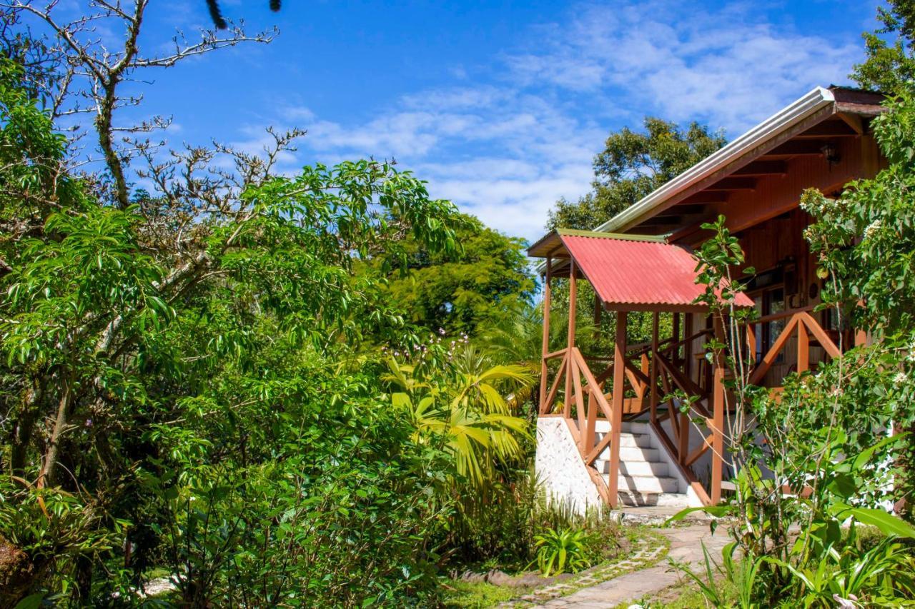 Hotel Holistico Monteverde Esterno foto